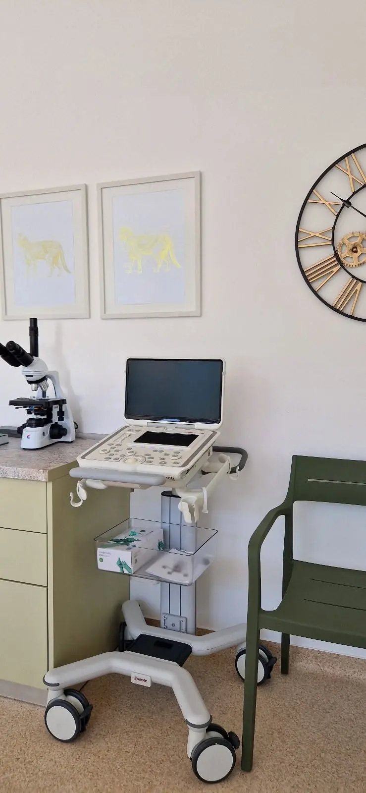 Ecograful și microscopul