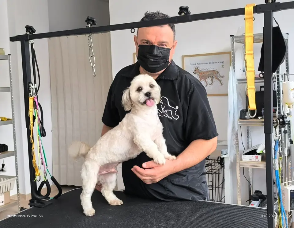 La frizeria canină