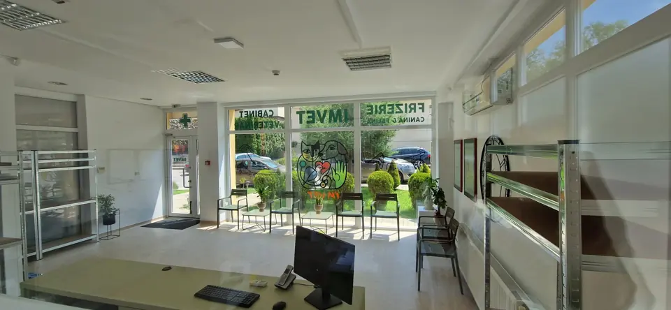 Cabinetul IMVET, luminos și spațios