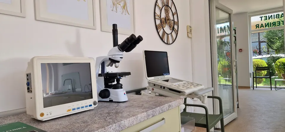 Microscopul și analizoarele din cabinet