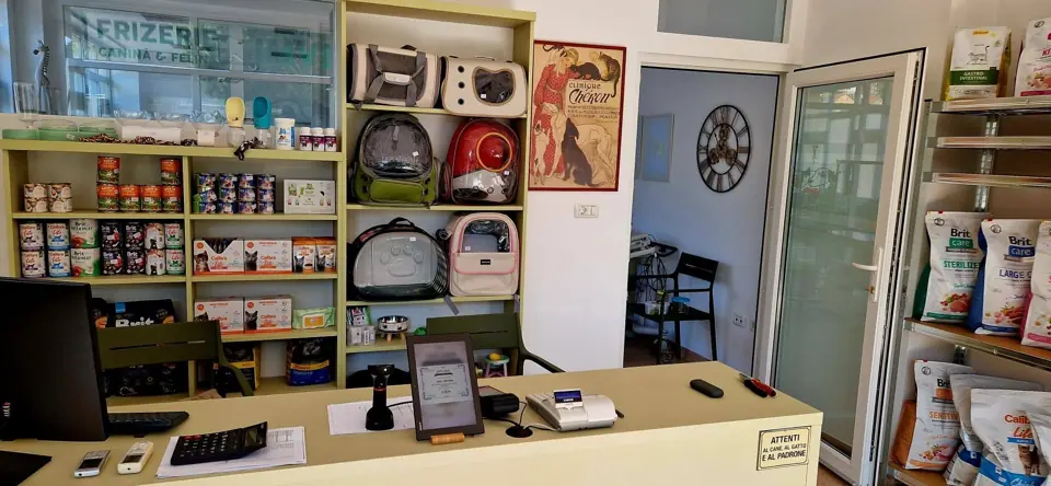 Pet shopul nostru: hrană, accesorii și jucării