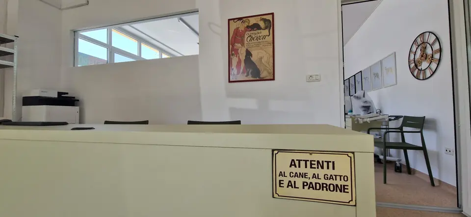 Recepția noastră